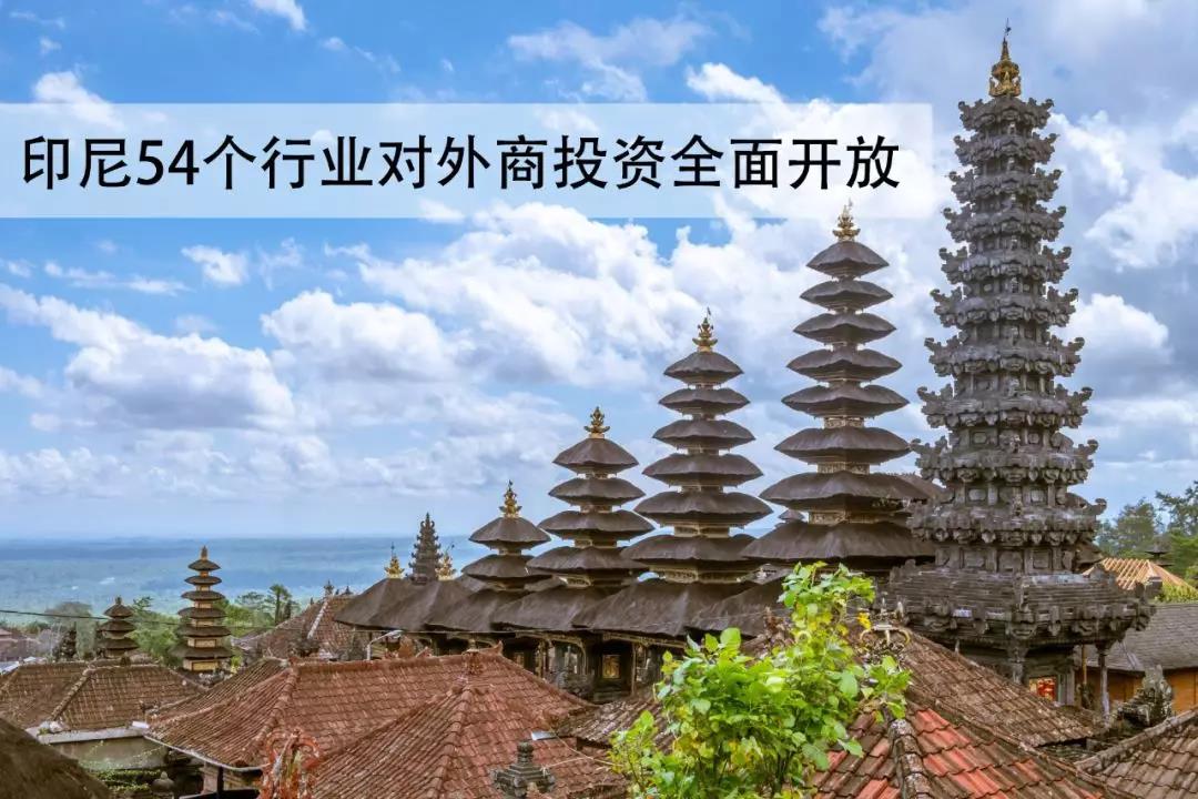 1543539417393771.jpg 1.jpg